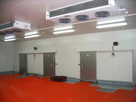 Cámara de almacenamiento industrial con piso técnico y evaporadores de techo